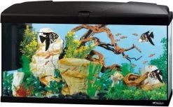 Ferplast Aquarium Capri 80 Zwart