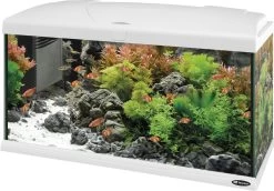 Ferplast Aquarium Capri 80 Led Wit