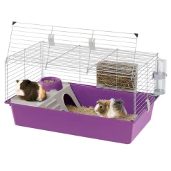 Ferplast Caviakooi Cavie 80 - Dierenverblijf - 79x49x38.5 Cm Grijs -Ferplast 3078 750087 4