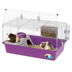 Ferplast Caviakooi Cavie 80 - Dierenverblijf - 79x49x38.5 Cm Grijs -Ferplast 6486 750087 5