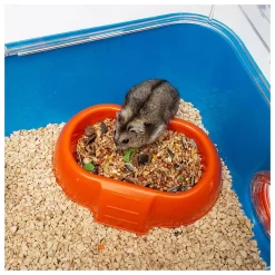 Ferplast Hamsterkooi Combi 2 - Dierenverblijf - 79.5x29.5x26x3 Cm Blauw Oranje -Ferplast 9397 750078 4