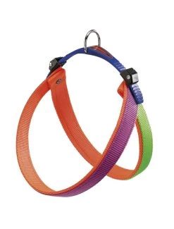 FERPLAST Agila Dual 6 Tuig Paars-oranje