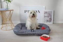 FERPLAST LIGKUSSEN OSCAR ZWART 100X70X12 CM -Ferplast ferplast hondenbed oscar 100 x 70 cm polyester textiel zwart 3 500730 20201120115335