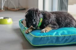 FERPLAST LIGKUSSEN POLO BRUIN 95X60X8 CM -Ferplast ferplast hondenbed polo 95 x 60 cm polyester textiel bruin 3 500481 20201120114056