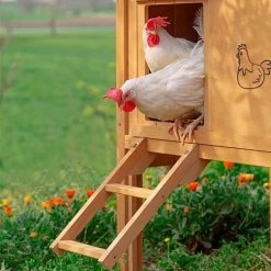 FERPLAST KIPPENHOK HEN HOUSE 30 BRUIN 162X100X110 CM -Ferplast ferplast kippenhok 10 6 488713 1604388369