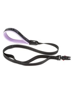 FERPLAST Sport Dog Matic G20/120 Lila