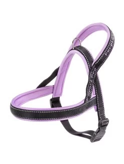 FERPLAST Sport Dog P Small Lila