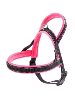 FERPLAST Sport Dog P Small Tuig Rose